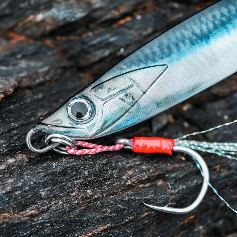 CUILLER BIASTOS 80gr ANCHOIS Pêche Au Leurre En Mer – Image 5