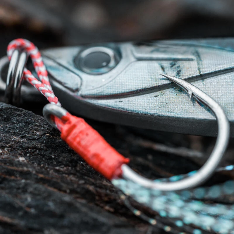 CUILLER BIASTOS 80gr ANCHOIS Pêche Au Leurre En Mer – Image 6